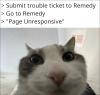 24-04-19-remedy-cat-1.jpg